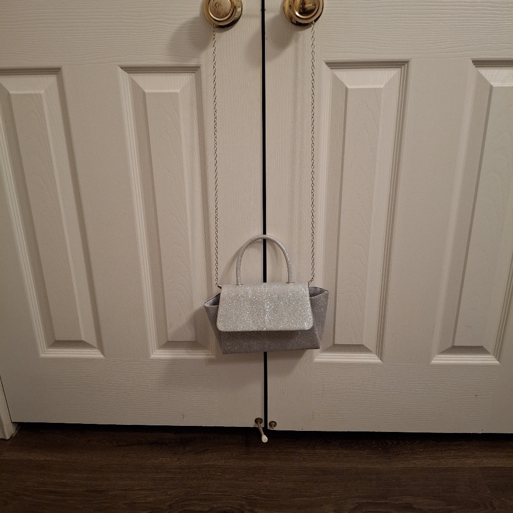 Silver Purse